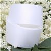 Order 25mm Satin Ribbon - Bridal White